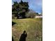 Large, flat backyard with mature trees, offering a private outdoor space at 3048 Marigold Ln, Gastonia, NC 28052