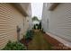 View of the side yard and landscaping between two homes in a residential area at 52538 Winchester St, Fort Mill, SC 29707