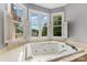 Relaxing soaking tub surrounded by windows, providing natural light and a view of the neighborhood at 109 Arabian Ln, Salisbury, NC 28147