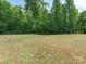 Expansive backyard with lush greenery, ideal for outdoor activities at 12304 Lookout Point Dr, Charlotte, NC 28269