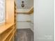 Large carpeted walk-in closet with lots of shelving and a hanging rod at 17219 Grand Central Way, Cornelius, NC 28031