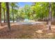 Outdoor basketball court surrounded by lush greenery, offering a recreational amenity for residents at 372 Northwest Dr, Davidson, NC 28036
