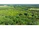 Aerial view of a vast green forest landscape, providing a sense of natural beauty and tranquility at 4705 Campground View Rd, Catawba, NC 28609