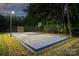 Well-lit basketball court, complete with net and surrounded by lush greenery, perfect for evening games at 6108 Phyliss Ln, Mint Hill, NC 28227