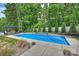 Beautiful backyard swimming pool with lounge seating, surrounding lush green foliage and manicured landscaping at 6108 Phyliss Ln, Mint Hill, NC 28227