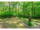 Serene backyard featuring lush greenery and mature trees, providing a peaceful and private outdoor retreat at 6766 Little Mountain Rd, Sherrills Ford, NC 28673