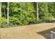 Expansive backyard with lush greenery and a black fence, perfect for outdoor activities at 7620 Porrera St, Charlotte, NC 28214