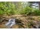 A natural, rocky stream with a small cascade surrounded by dense, vibrant foliage at 1009 Catawba Valley Se Blvd, Hickory, NC 28602