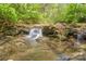 A natural stream cascading over rocks, surrounded by lush greenery and foliage at 1009 Catawba Valley Se Blvd, Hickory, NC 28602