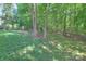 Large backyard featuring lush lawn, mature trees, and partial fencing at 3009 Thayer Dr, Waxhaw, NC 28173