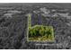 Aerial view of wooded lot with outlined property lines and a home nestled in a vibrant, lush green area at 4920 Morrison Houser Trl # 2, Lincolnton, NC 28092