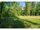 Expansive backyard featuring lush green grass, mature trees, and a chain-link fence at 4920 Morrison Houser Trl # 2, Lincolnton, NC 28092