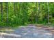 Gravel driveway winding through a lush green forest at 4920 Morrison Houser Trl # 2, Lincolnton, NC 28092