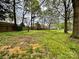 Large grassy backyard features plenty of trees, providing natural shade and privacy at 8205 Meadowind Cir, Charlotte, NC 28226