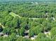 Aerial view of property surrounded by lush trees at 10024 Whitethorn Dr, Charlotte, NC 28277
