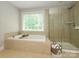Relaxing bathroom showcasing a soaking tub, a separate shower, and a serene atmosphere at 10944 Persimmon Creek Dr, Mint Hill, NC 28227
