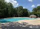 Large community pool with clear blue water, surrounded by mature trees and a pool house, creating a refreshing retreat at 10944 Persimmon Creek Dr, Mint Hill, NC 28227