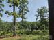 A tranquil view of the lot with lush greenery, offering privacy and a natural ambiance at 1820 Trinity Church Rd, Monroe, NC 28112