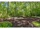 Secluded fire pit area in a wooded backyard features a stone patio and seating at 2025 Groves Edge Ln, Waxhaw, NC 28173