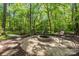 Fire pit area has seating, surrounded by lush greenery, perfect for outdoor entertaining at 2025 Groves Edge Ln, Waxhaw, NC 28173