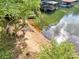 Sandy beach with lake access and boat docks, surrounded by lush greenery with tree reflections in the water at 16427 Cozy Cove Rd, Charlotte, NC 28278