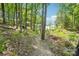 Scenic path through the woods leading to lake access with boat docks, surrounded by green foliage at 16427 Cozy Cove Rd, Charlotte, NC 28278