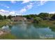 Pond with fountain and lush landscaping within a well-maintained residential community at 2114 N Castle Ct, Matthews, NC 28105