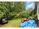 Backyard featuring a mix of lush greenery, a parked car and scattered lawn equipment at 2622 Hemphill St, Charlotte, NC 28208