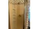 Shower-tub combination featuring gold hardware and patterned wallpaper at 500 W Council St, Salisbury, NC 28144