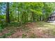 Lush backyard with mature trees, offering privacy and a natural setting at 8501 Flanagan Ct, Huntersville, NC 28078
