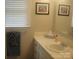Bathroom showcasing the vanity, sink, and fixtures, and towel, offering a clean and functional space at 146 Barclay Ln, Mooresville, NC 28115