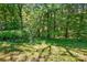 Lush green lawn dappled with sunlight filtering through mature trees, creating a serene and inviting backyard at 221 Grayrock Dr, Statesville, NC 28677
