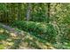 Thick, verdant hedge marks the property line, enhancing privacy amidst a backdrop of towering trees and lush foliage at 221 Grayrock Dr, Statesville, NC 28677