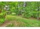 Tranquil backyard oasis with mature trees, vibrant greenery, and a serene, natural landscape at 427 Pinnacle Ln, Huntersville, NC 28078
