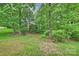 Serene backyard featuring mature trees, lush greenery, and a peaceful, natural setting at 427 Pinnacle Ln, Huntersville, NC 28078