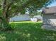 A lush green backyard featuring a shed, mature tree, and glimpses of neighboring homes at 6212 Derryfield Dr, Charlotte, NC 28213