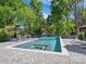Beautiful in-ground pool with a lounge area surrounded by lush greenery, perfect for relaxation at 1009 Belmont Ave, Charlotte, NC 28205