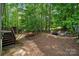 Landscaped backyard with a fire pit and seating area near the trees at 109 Braxton Gate Ct, Mount Holly, NC 28120