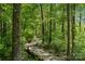 Wooden boardwalk winding through a lush green forest at 109 Braxton Gate Ct, Mount Holly, NC 28120