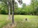 Sprawling backyard featuring mature trees and open green space, perfect for outdoor activities and relaxation at 1105 S Church S St, Monroe, NC 28112