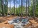 Backyard fire pit area surrounded by mature trees, perfect for outdoor gatherings at 221 Silvercliff Dr, Mount Holly, NC 28120