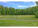 Lush green meadow bordered by a lush, mature tree line, creating a serene and picturesque setting at 270 Worthington Dr, Mt Ulla, NC 28125