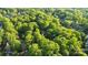 An aerial view of a home surrounded by lush greenery and mature trees in a neighborhood at 9002 Maple Hill Ct, Huntersville, NC 28078