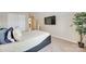 Well-lit bedroom featuring a TV, a plant, and carpeted floors at 9700 Stewart Spring Ln, Charlotte, NC 28216