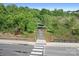 Aerial shot of a greenway trail surrounded by lush trees, leading through a residential area at 13359 Caite Ridge Rd, Davidson, NC 28036
