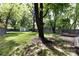 Spacious backyard featuring a large lawn, mature trees, and a privacy fence for outdoor enjoyment at 1816 Anderson St, Charlotte, NC 28205