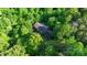 Aerial view of a brick home surrounded by dense trees at 332 York Spann Rd, Hamptonville, NC 27020