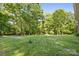 Large and private backyard with mature trees, a large open yard and natural setting at 332 York Spann Rd, Hamptonville, NC 27020