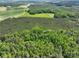 Lush aerial view of trees interspersed with open fields and a winding road, showing diverse landscapes at 4815 Nc 109 Hwy, Wadesboro, NC 28170