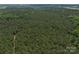 Wide aerial perspective of dense forestation, ideal for a private and secluded homesite at 4815 Nc 109 Hwy, Wadesboro, NC 28170